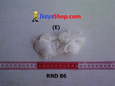 large2 RND 86 E